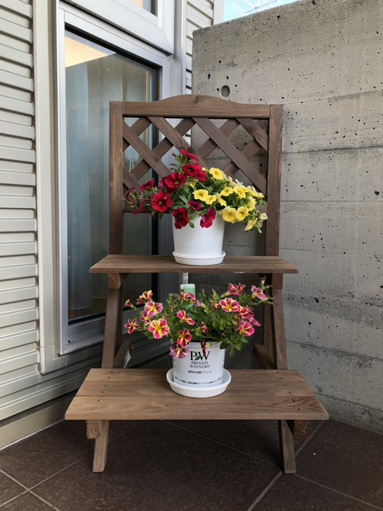 きゅうが投稿したフォト 外玄関に花を飾りました 花台はニトリのもの 花があると明 19 07 12 18 54 56 Limia リミア
