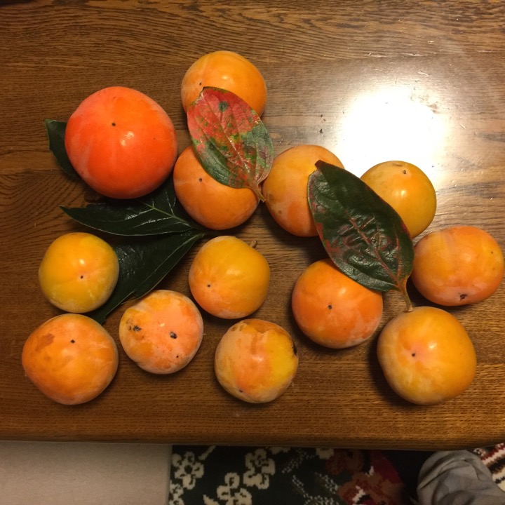甘柿の画像
