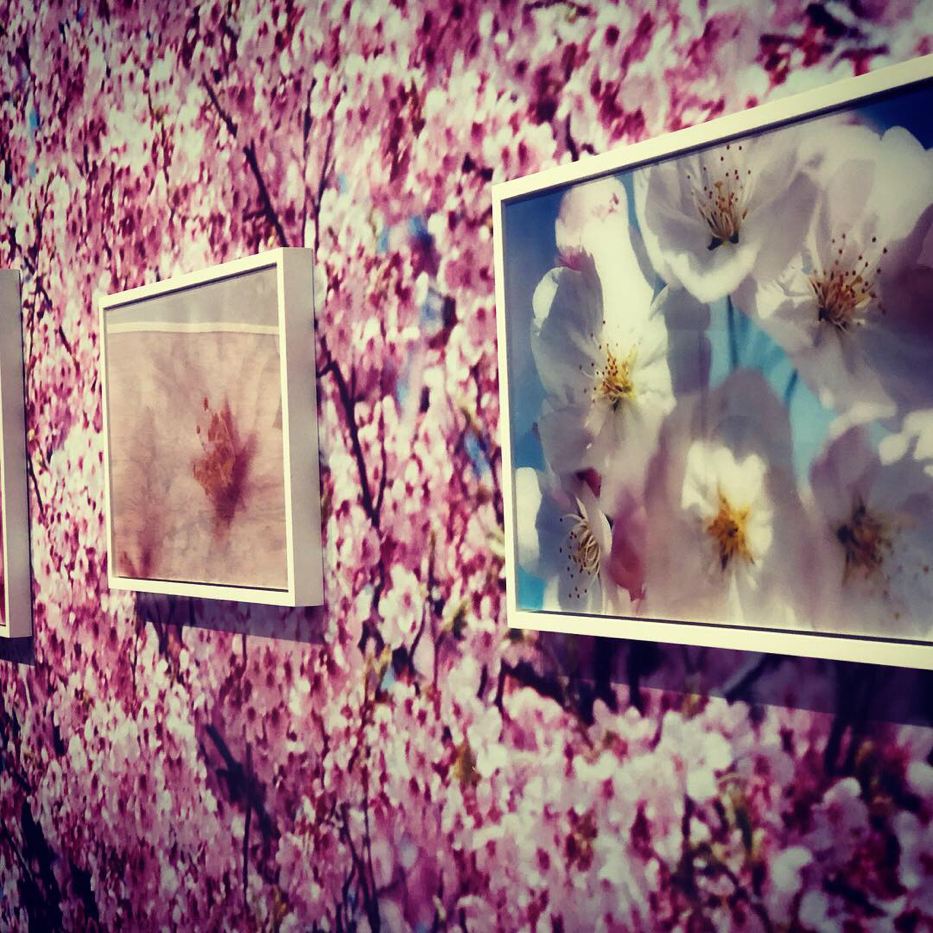 お掃除アドバイザー が投稿したフォト 蜷川実花さんの個展 作品の美しさにうっとりです 19 01 05 18 55 44 Limia リミア