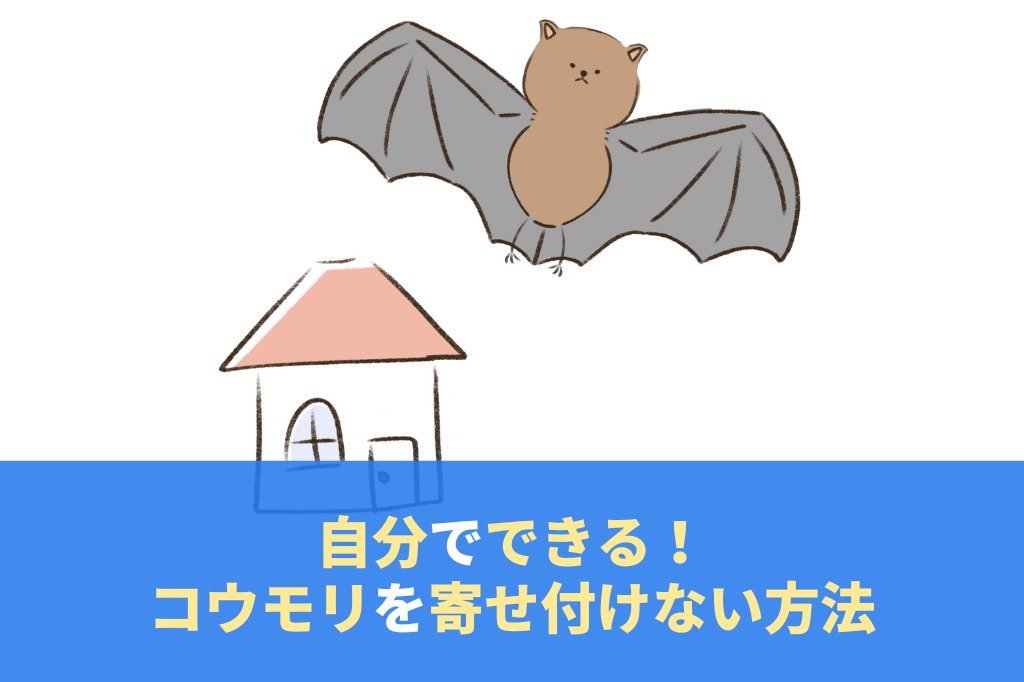 コウモリを寄せ付けない方法4つ！自分でできる効果的な方法を解説