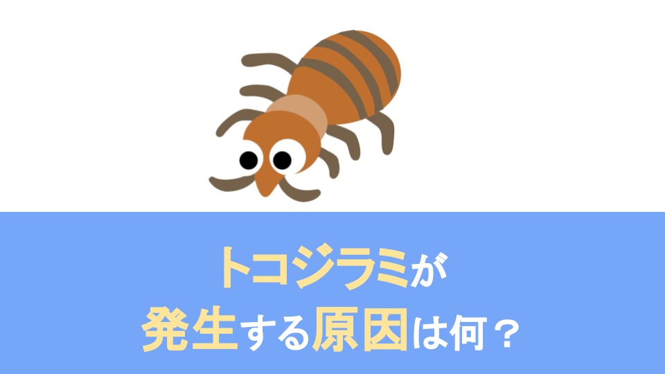 トコジラミなぜ発生する？