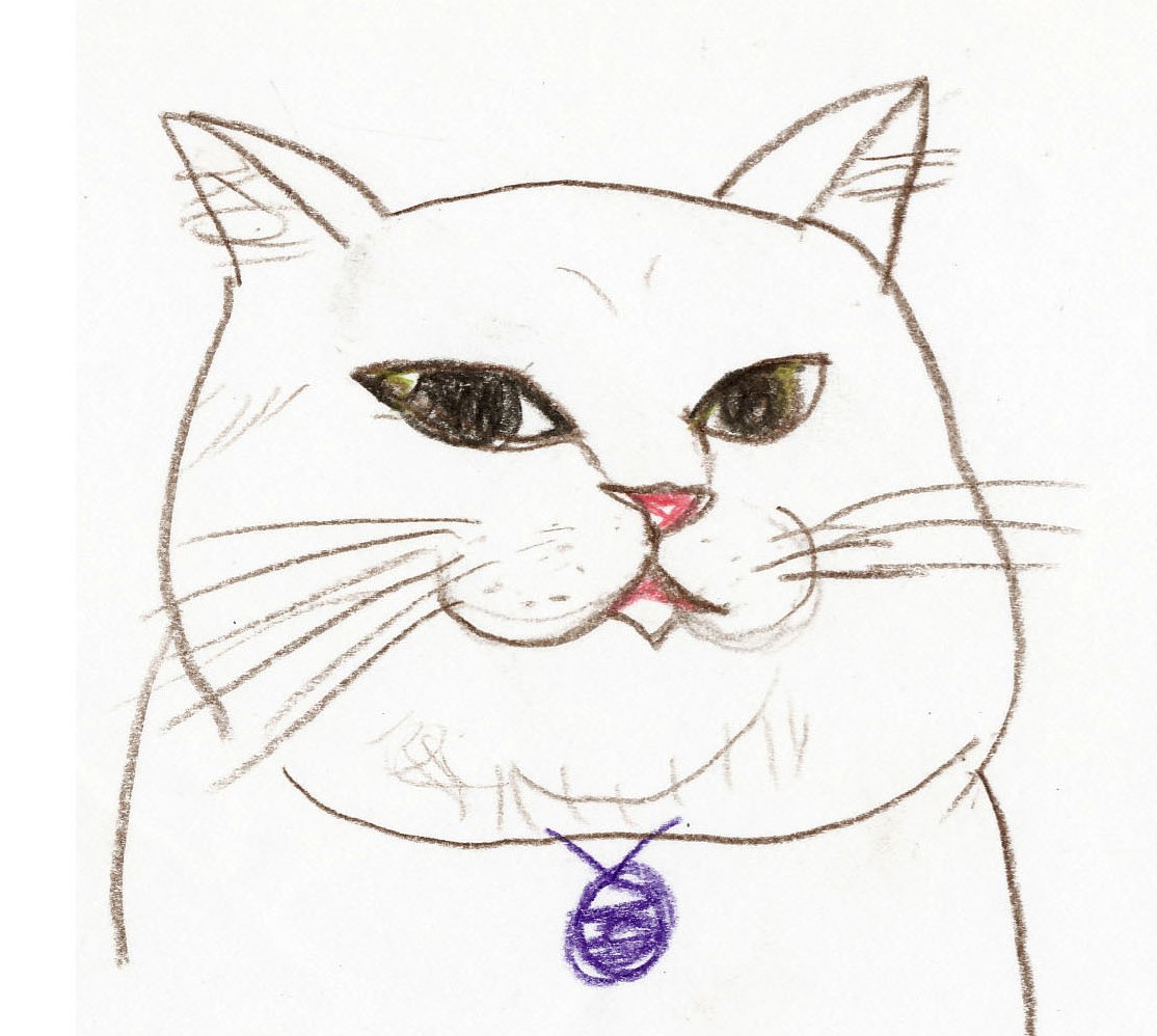 N.Y.&Kimiのがま口＆ゆる猫イラストの画像