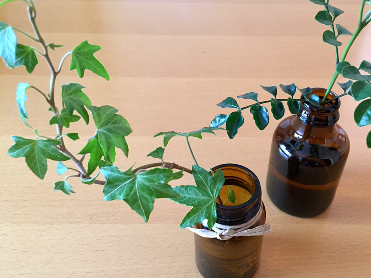 ｎ ｋーｚが投稿したフォト 薬の空き瓶にミニ観葉植物 私的ほっこり 18 12 27 13 09 18 Limia リミア
