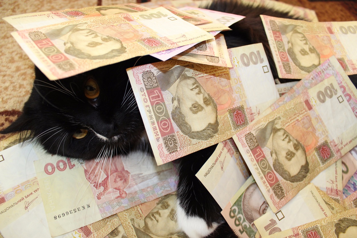 【かわいすぎて見つめちゃう】コツコツ続く！猫の貯金箱おすすめ