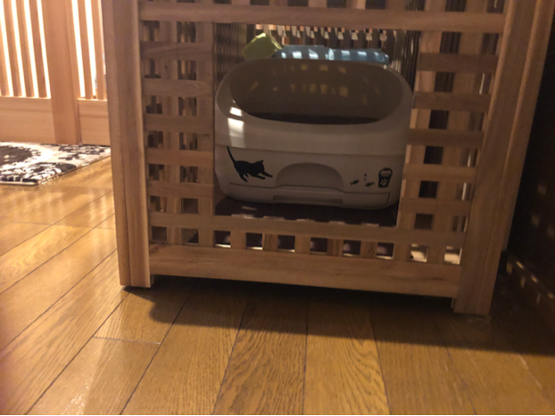 Nekozukin が投稿したフォト Ikeaの家具でお洒落猫トイレ 本当はトイレが2個入る予 19 06 02 18 48 Limia リミア