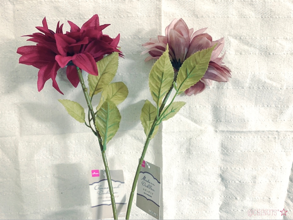 Chinuts が投稿したフォト ダリアの花が好き バラとかラナンキュラスとか こんもりし 19 09 09 18 52 46 Limia リミア