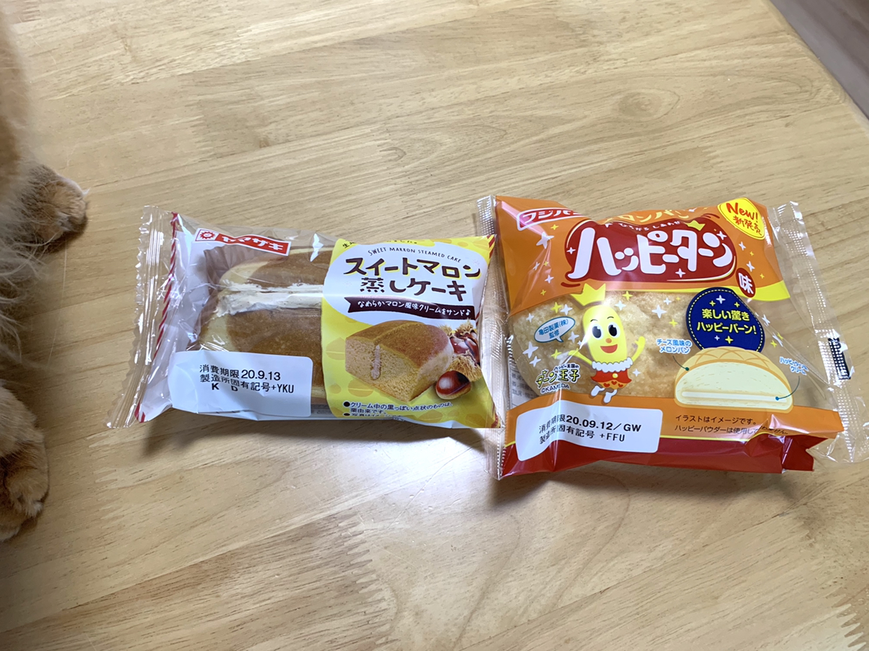 542 パンケーキにゃんこ♡