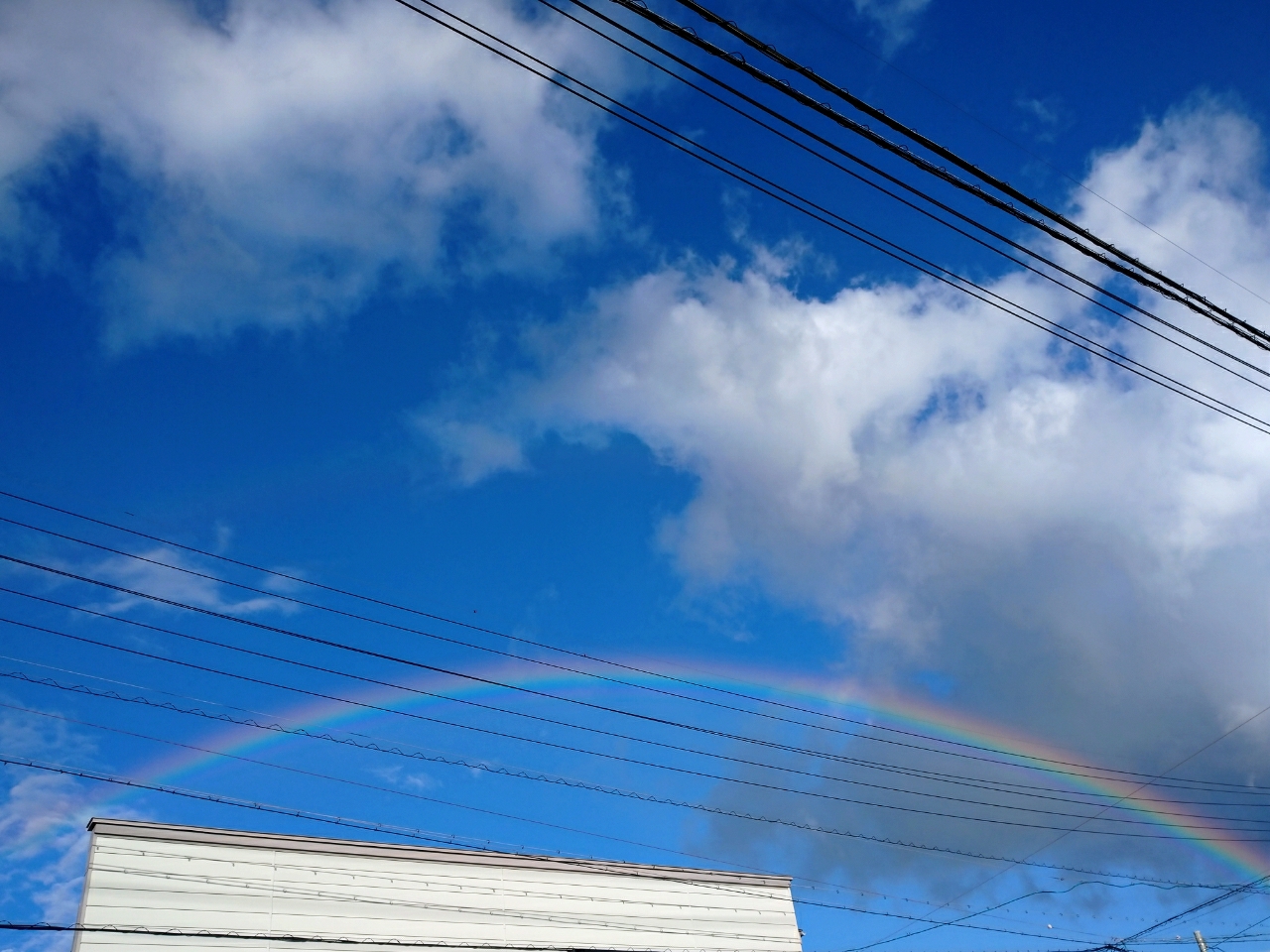 Rankoが投稿したフォト 雨も多かったけど 虹 がみれた しかも二重なの わか 19 08 22 21 49 13 Limia リミア