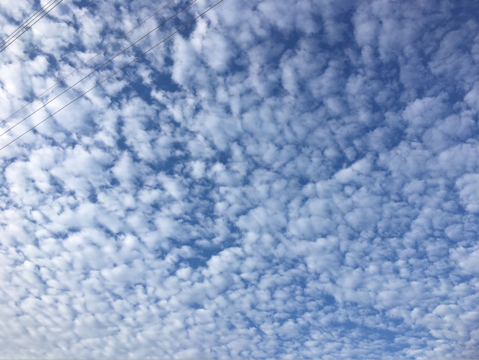 Naon が投稿したフォト 朝からひつじ雲 うろこ雲 がいっぱい 19 12 05 21 14 53 Limia リミア