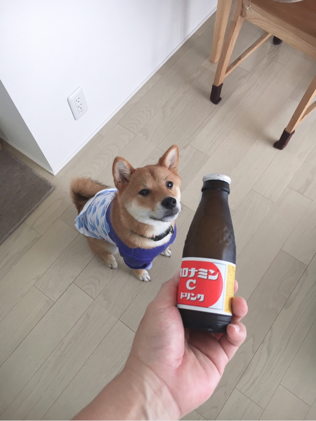 いちごが投稿したフォト かーちゃんオロナミンc飲んで早く陣痛来るといいね 19 07 01 13 43 31 Limia リミア