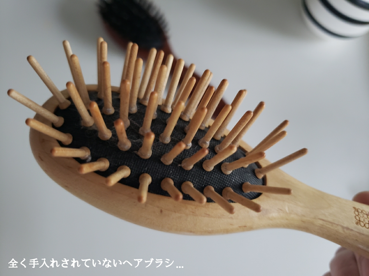 こうさなが投稿したフォト こんばんは 今日のこそうじは ヘアブラシのお手入 04 22 27 53 Limia リミア