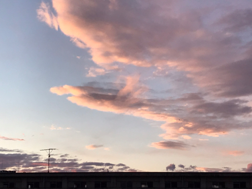 La La La が投稿したフォト すごい色の空と雲 1枚目は チワワに見えませんか 2枚から 19 04 27 18 35 59 Limia リミア