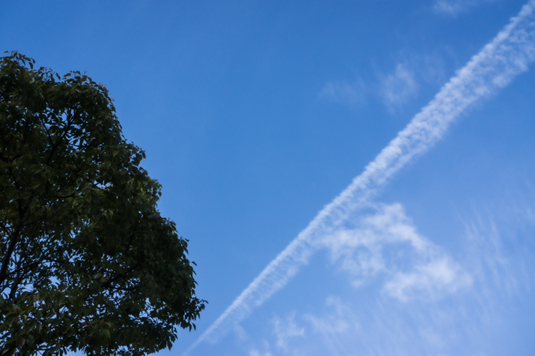 しのが投稿したフォト 綺麗な青空に飛行機雲 19 06 24 21 27 06 Limia リミア