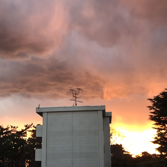 Hanae が投稿したフォト こんばんは 今日の夕方の空は どんどん真っ赤になり 上の 21 01 09 18 21 51 Limia リミア