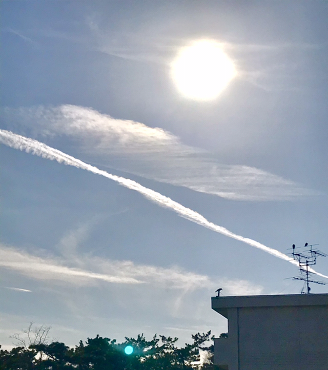 Hanae が投稿したフォト 太陽と不思議な雲 ふと 空を見ると 飛行機雲のような じゃ 21 02 05 16 48 35 Limia リミア