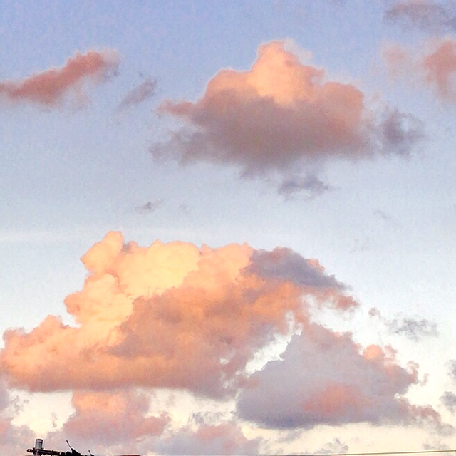 Hanae が投稿したフォト 今空 11 19 家から見える空 ピンクの雲がフワフワ 11 19 16 39 05 Limia リミア