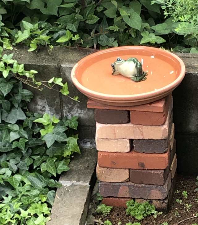 Campariが投稿したフォト 100均グッズで作る野鳥の餌場 大きな鳥カゴには野鳥が大好 21 02 16 14 15 11 Limia リミア