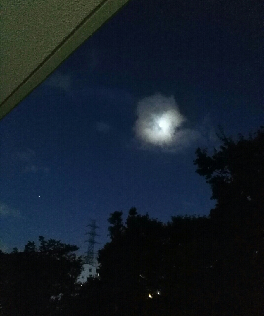 シロクママ が投稿したフォト 綺麗な夕焼け 秋の気配 お月様が雲に隠れ 風で雲が飛ばされ 18 08 21 19 11 57 Limia リミア