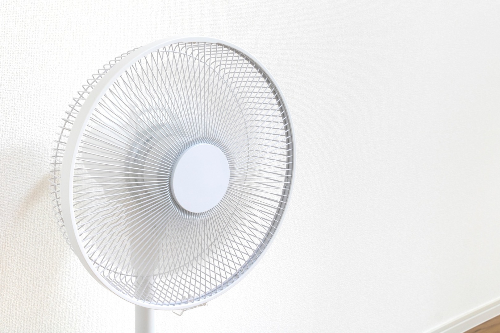 楽天 スーパー セール 半額 家電