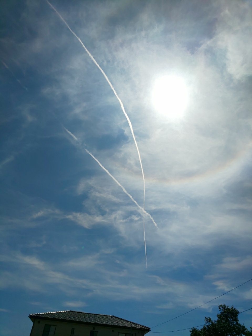 Kakoが投稿したフォト 見上げた空には飛行機雲がクロス 太陽の回りには虹 夏だね 19 08 10 19 05 24 Limia リミア