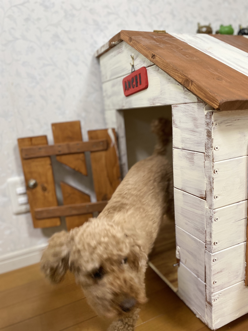 プラモ家具 犬小屋 大 家具キット Diy おしゃれ ハンドメイド 大きい子用の犬小屋 オリジナル ドッグ 送料無料 最大77 オフ