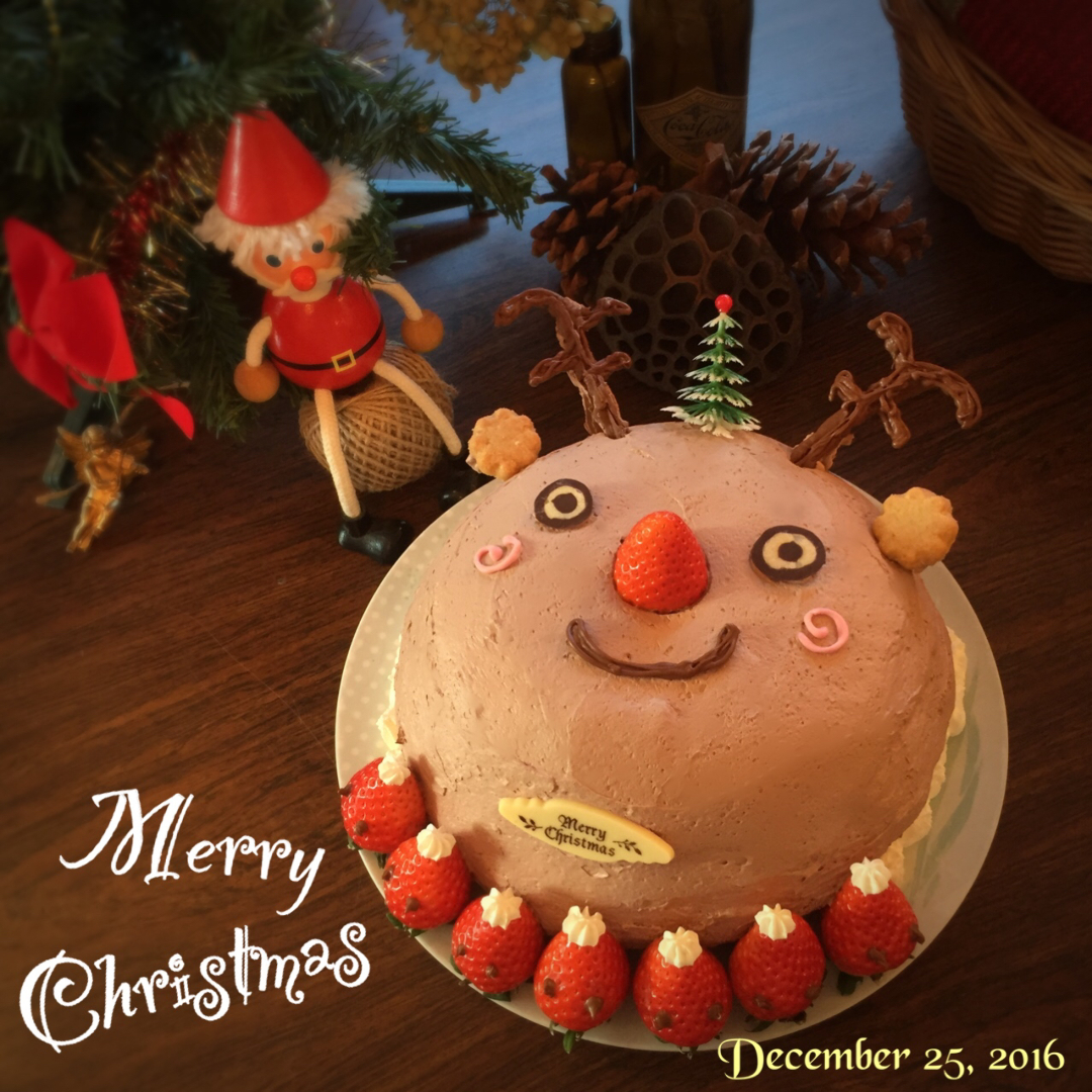 Smasta Ga が投稿したフォト 今年作った クリスマスケーキは 思わずみんなが笑っちゃう ト 16 12 26 15 19 00 Limia リミア