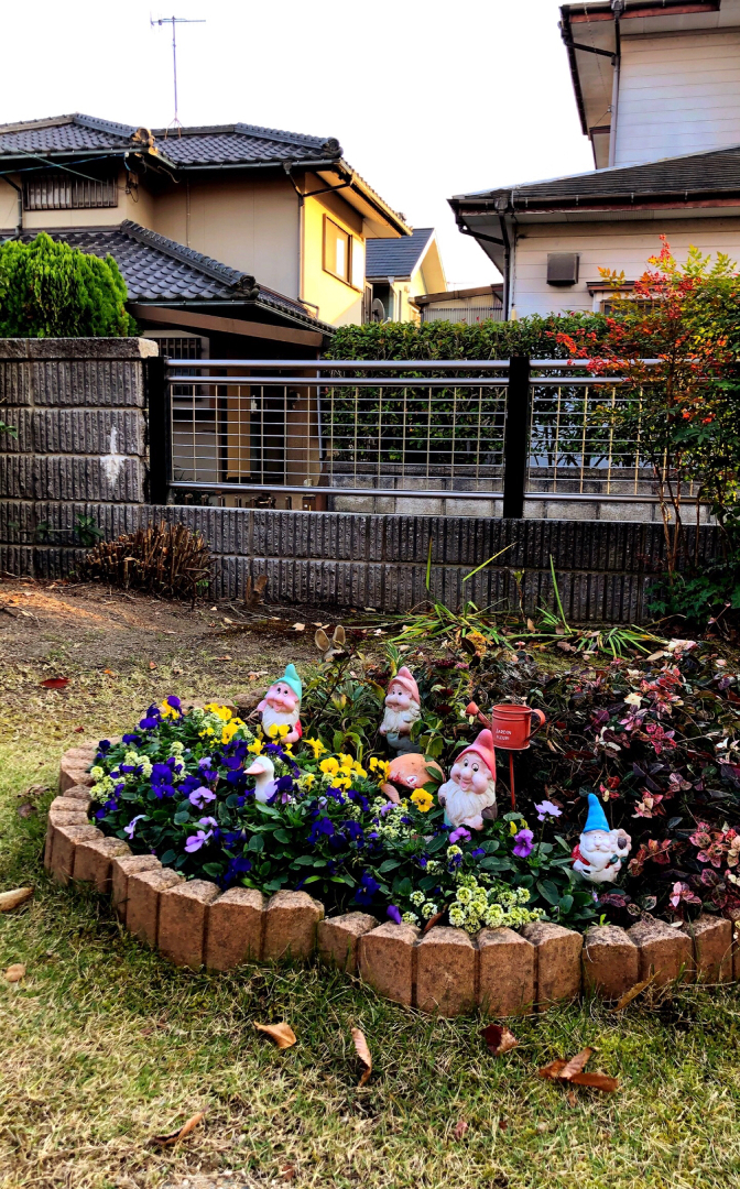 Shouichi3 が投稿したフォト 円形花壇に冬のお花を植えました 18 11 25 21 56 Limia リミア
