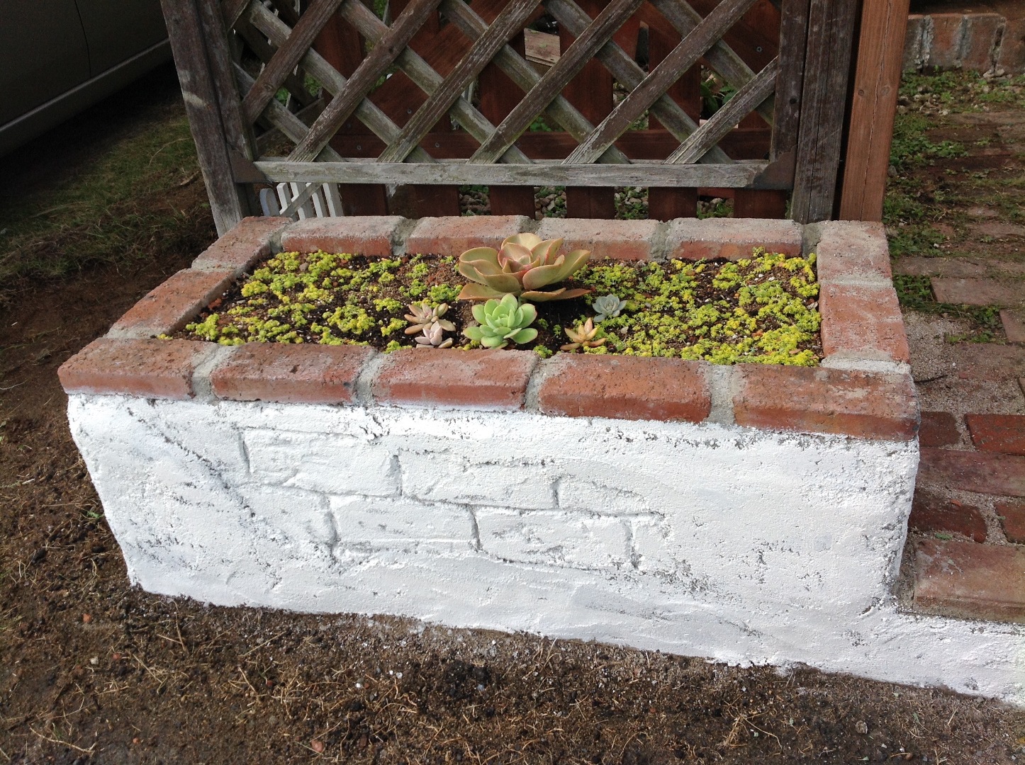 Chapatyが投稿したフォト 花壇のブロックがひび割れて来たのでモルタル造形なるものを見よ 18 12 19 09 42 32 Limia リミア