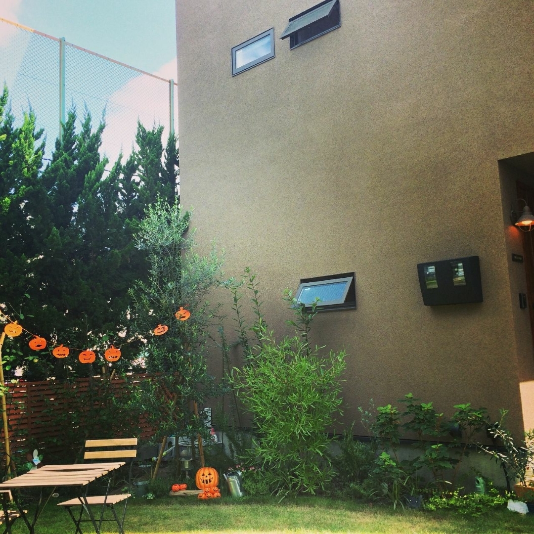 Kensが投稿したフォト お庭ハロウィン お庭のグリーンに映えるオレンジのカボチャ 18 10 24 14 53 48 Limia リミア