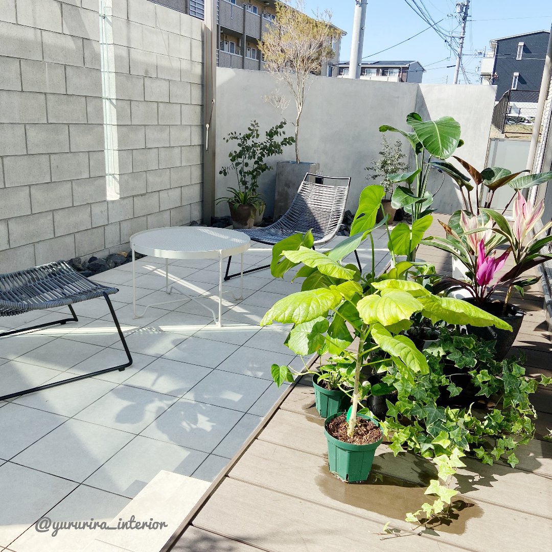 Yururiraが投稿したフォト よく晴れた日は室内の観葉植物たちも庭に集合して 水浴びと日光 03 17 13 53 53 Limia リミア