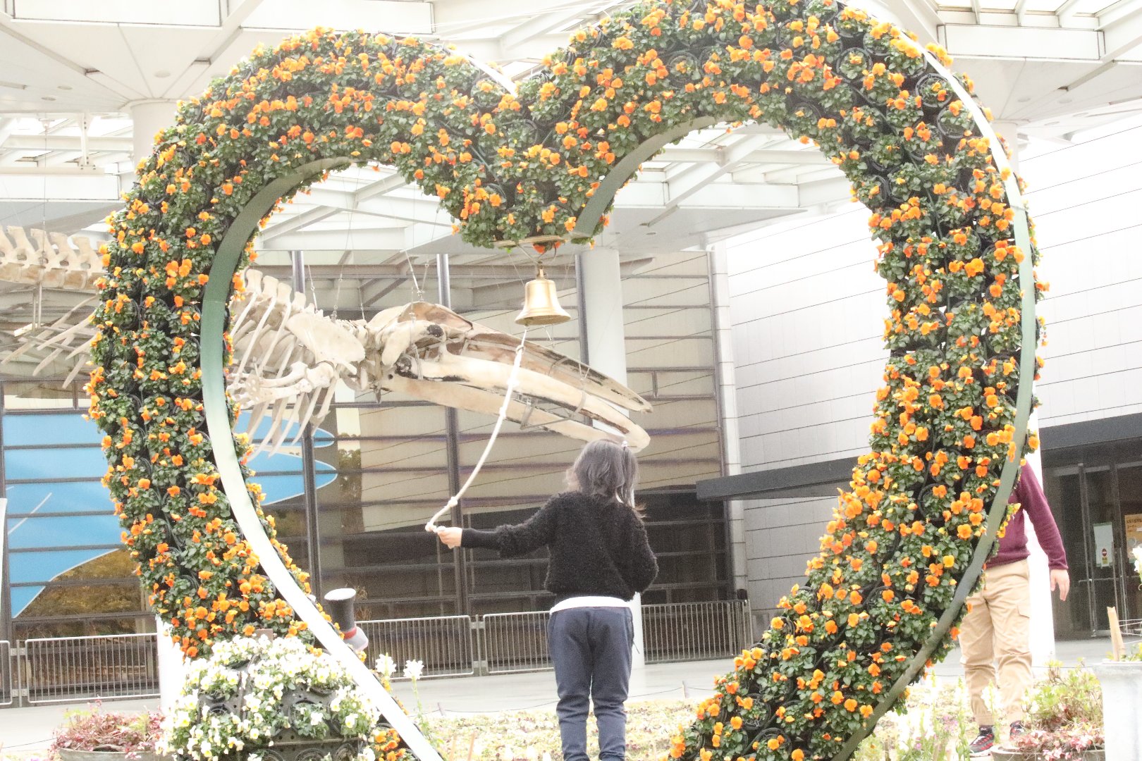 Toshiaki が投稿したフォト 大阪長居公園植物園で撮影 女性がベルを鳴らしなじめました 01 23 12 58 00 Limia リミア