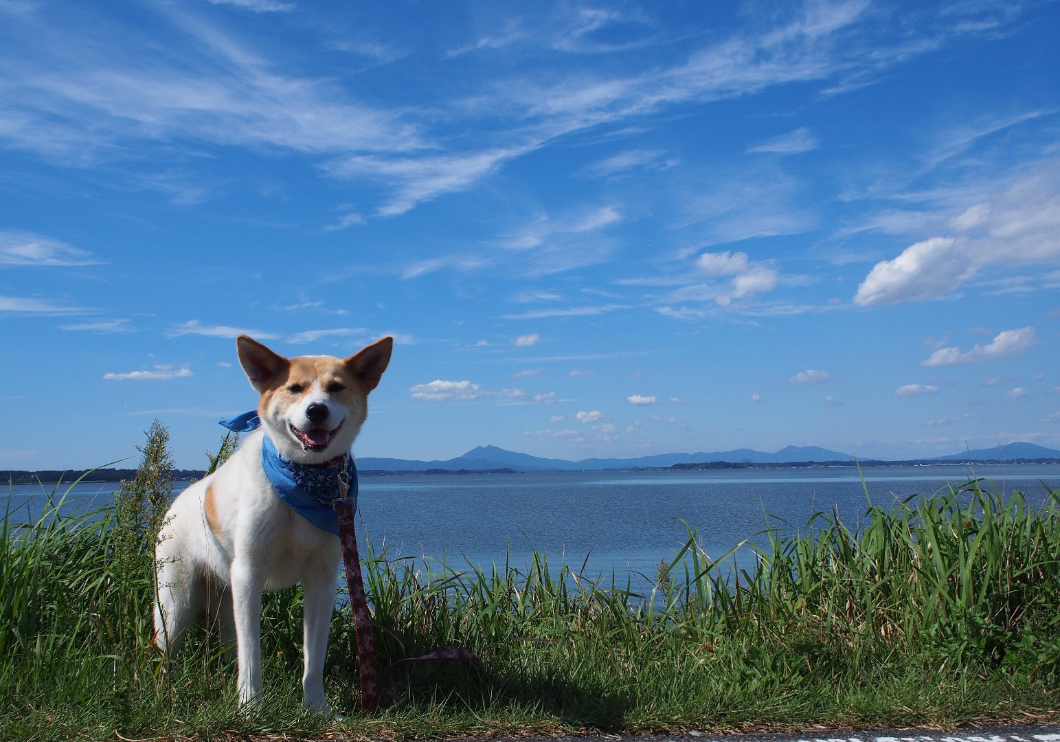 まりまりままが投稿したフォト 青い空 と 青い霞ヶ浦 と 青いバンダナ 19 08 10 17 57 32 Limia リミア