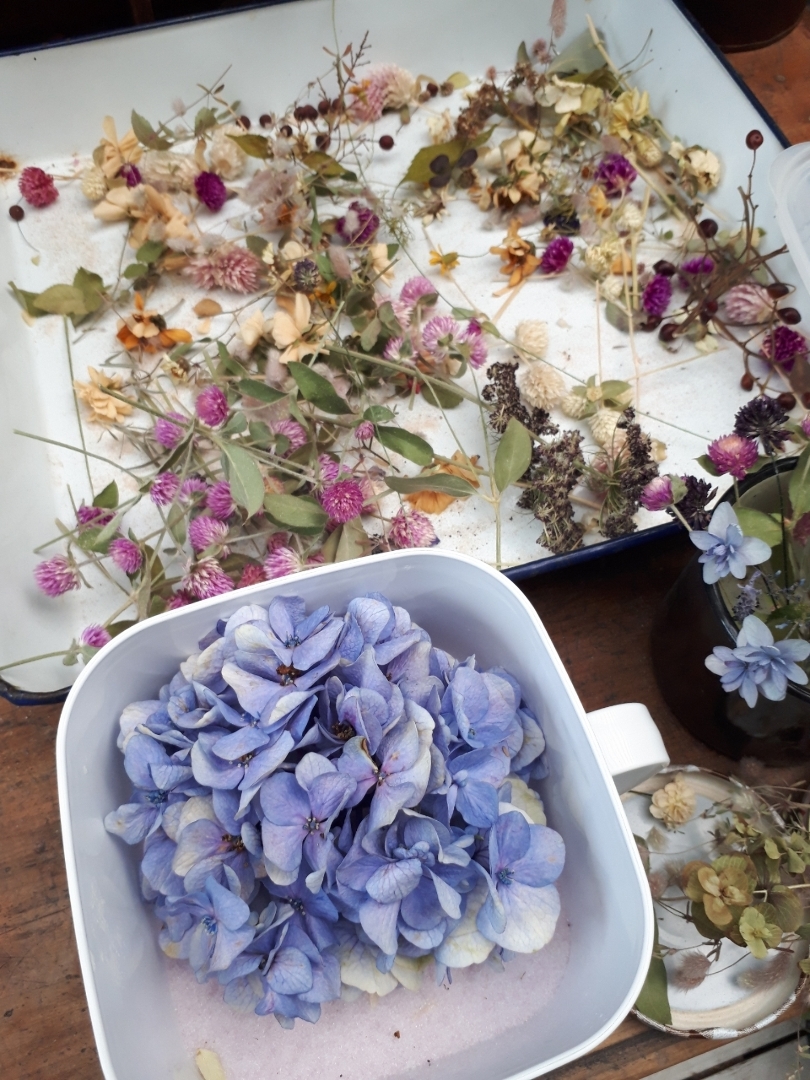 Nakamu No が投稿したフォト 青紫陽花の色を残したドライフラワーを作りました 100均の 19 09 05 38 47 Limia リミア