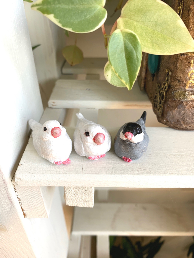 Plants Ga が投稿したフォト 白文鳥と桜文鳥 作ってみました 文鳥飼いたいな 19 10 17 30 25 Limia リミア