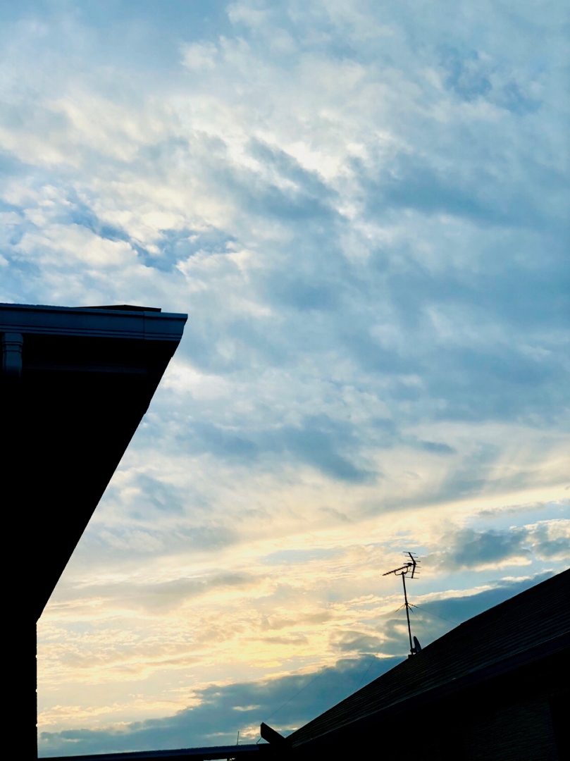 のぶこが投稿したフォト 今朝の空 でもこの後雨が降って どんより曇り空 19 11 14 08 32 14 Limia リミア