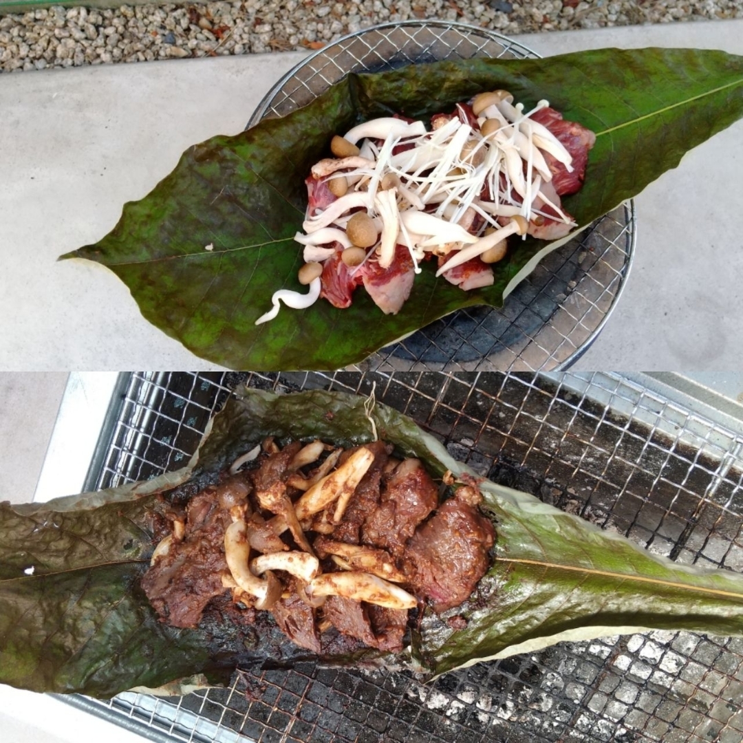 めぐが投稿したフォト 普段のbbqに初挑戦レシピ ほうばが手に入ったので ほうば味 05 23 14 44 19 Limia リミア