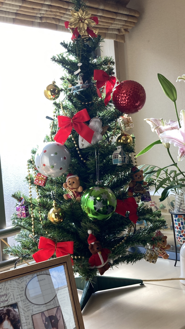 クリスマスツリー 北欧 150cm おしゃれ 150 Abies 飾り ドイツ を使ったクチコミ イトーヨーカドー亀 By 1u2gnt5 12 19 12 46 57 Limia リミア
