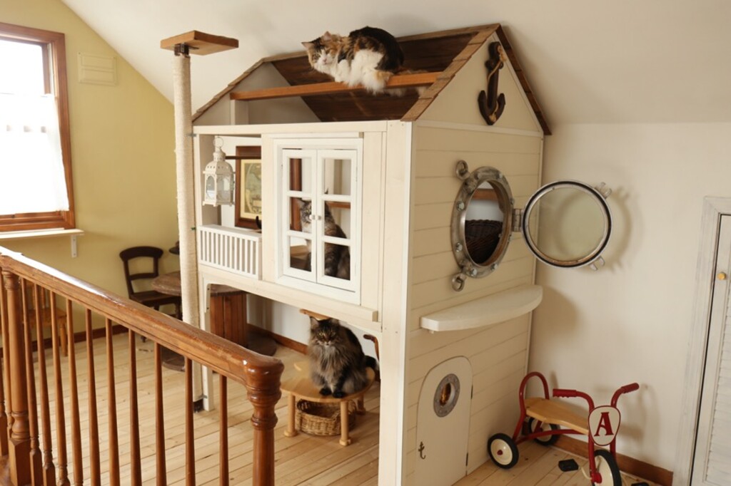 [最も人気のある！] 猫 ケージ 階段 手作り - ただのトイストーリー