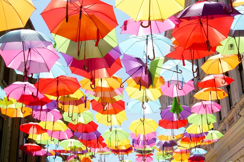 レディース傘おすすめ10選 大人かわいいデザインを紹介 Limia リミア