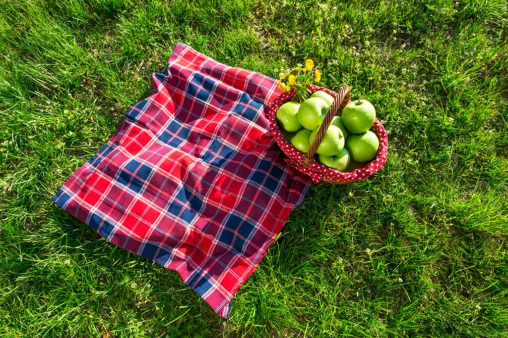 一味違うピクニックに！おしゃれな布製のレジャーシート9選｜LIMIA (リミア)