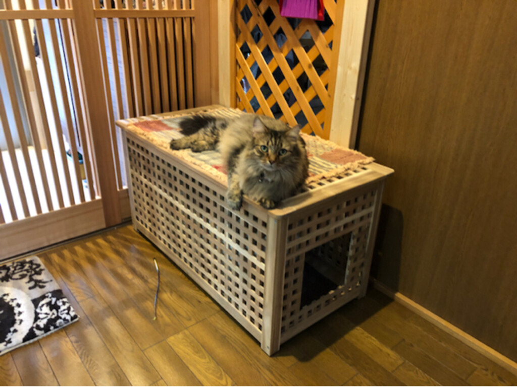 nekozukin…が投稿したフォト「IKEAの家具でお洒落猫トイレ♪ 本当はトイレが2個入る予…」 2019