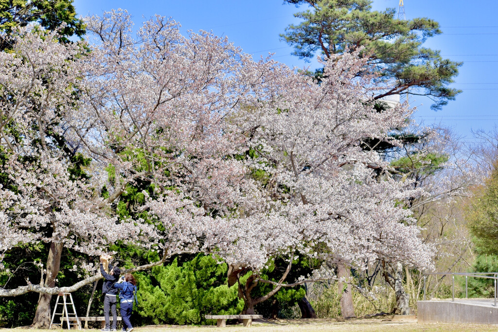 頼朝が投稿したフォト 一の谷公園 子供達が遊べる遊具が多めに設置されてる公園です 19 04 17 55 19 Limia リミア