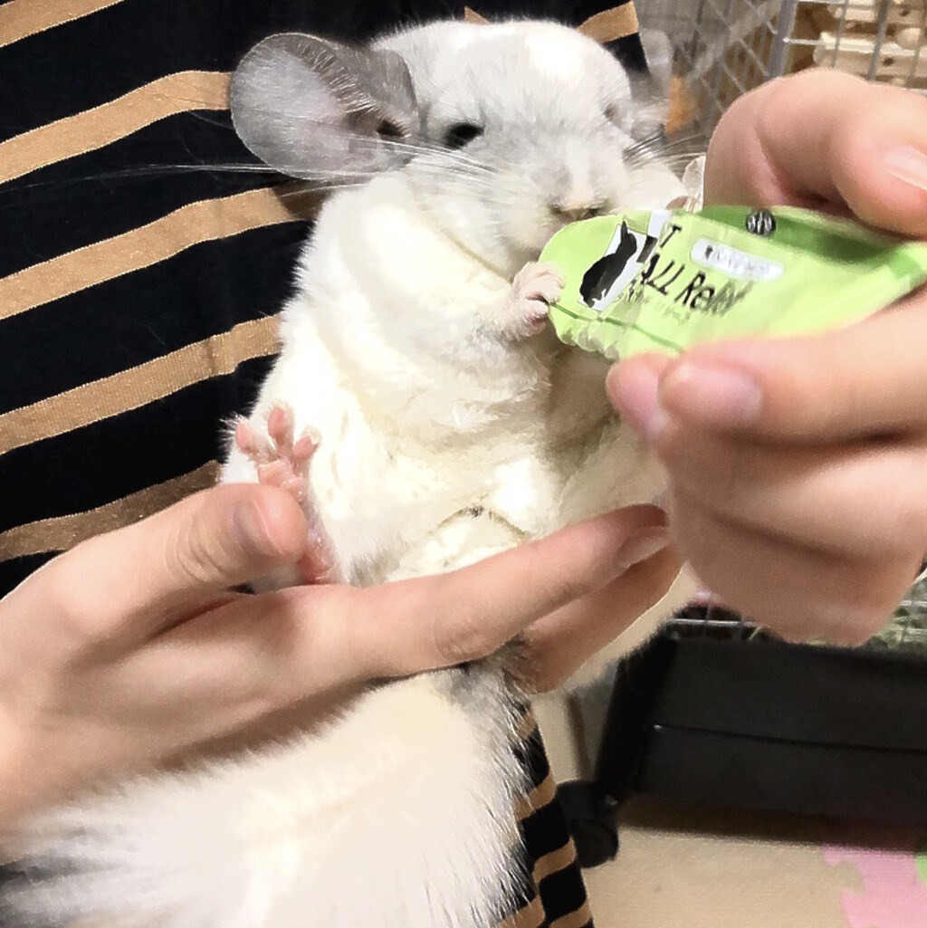 うさぎヘアーボールリリーフ新品1箱送料込