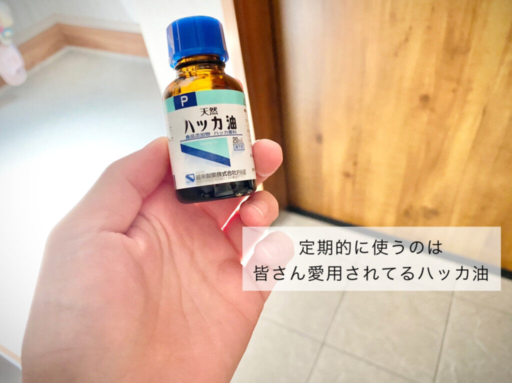 ハッカ油 ml 滴下式 健栄製薬を使ったクチコミ ハッカ油はこの時期 By びーちママ 06 10 22 19 50 Limia リミア