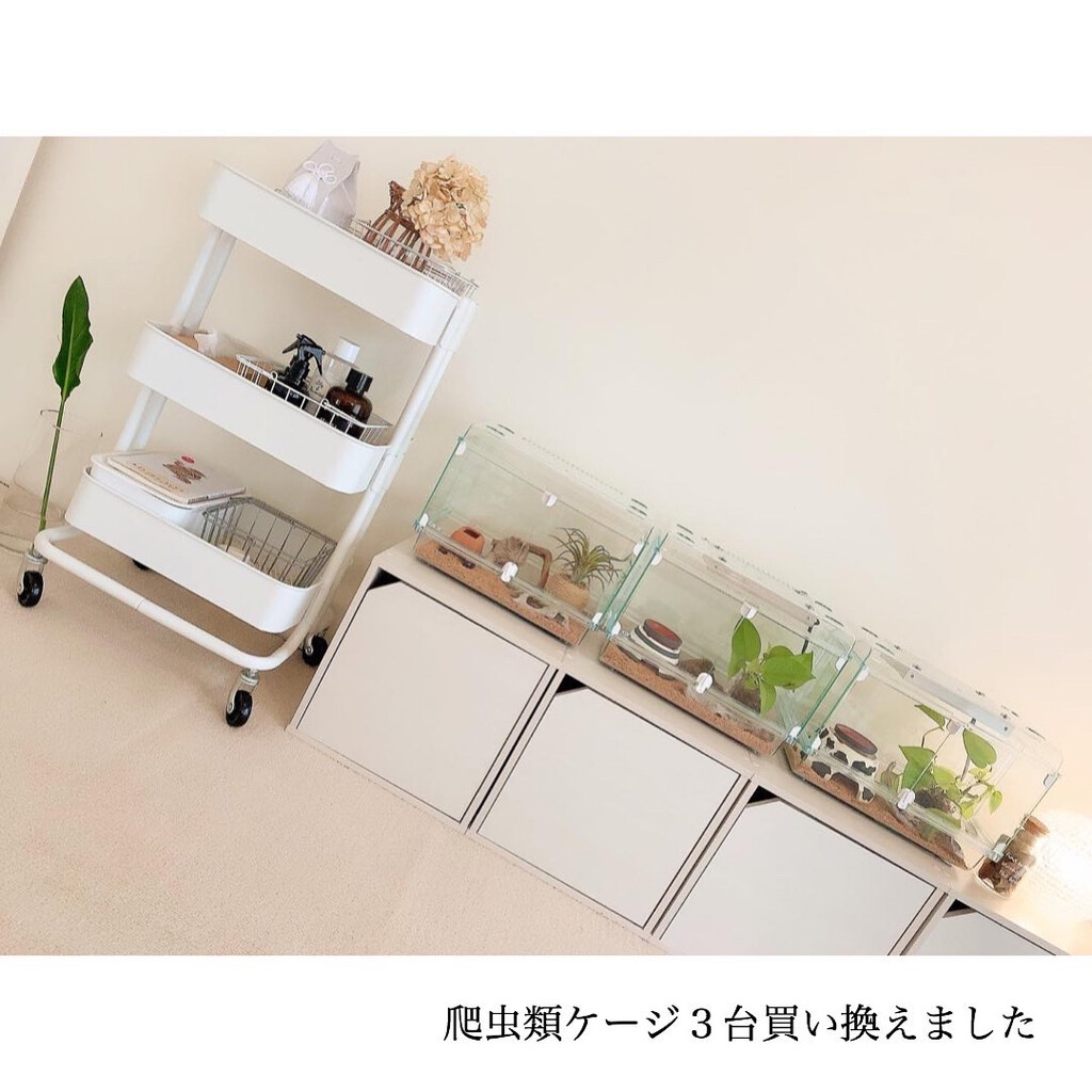 爬虫類ケージ 800×300×300 防水仕様 - ペット用品