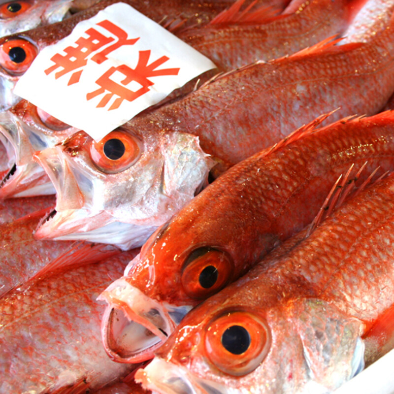 高級魚 のどぐろ の旬は今 とびきりの鮮度 一日漁 の のどぐろ 食べるなら今っ 22年10月05日 Biglobe Beauty