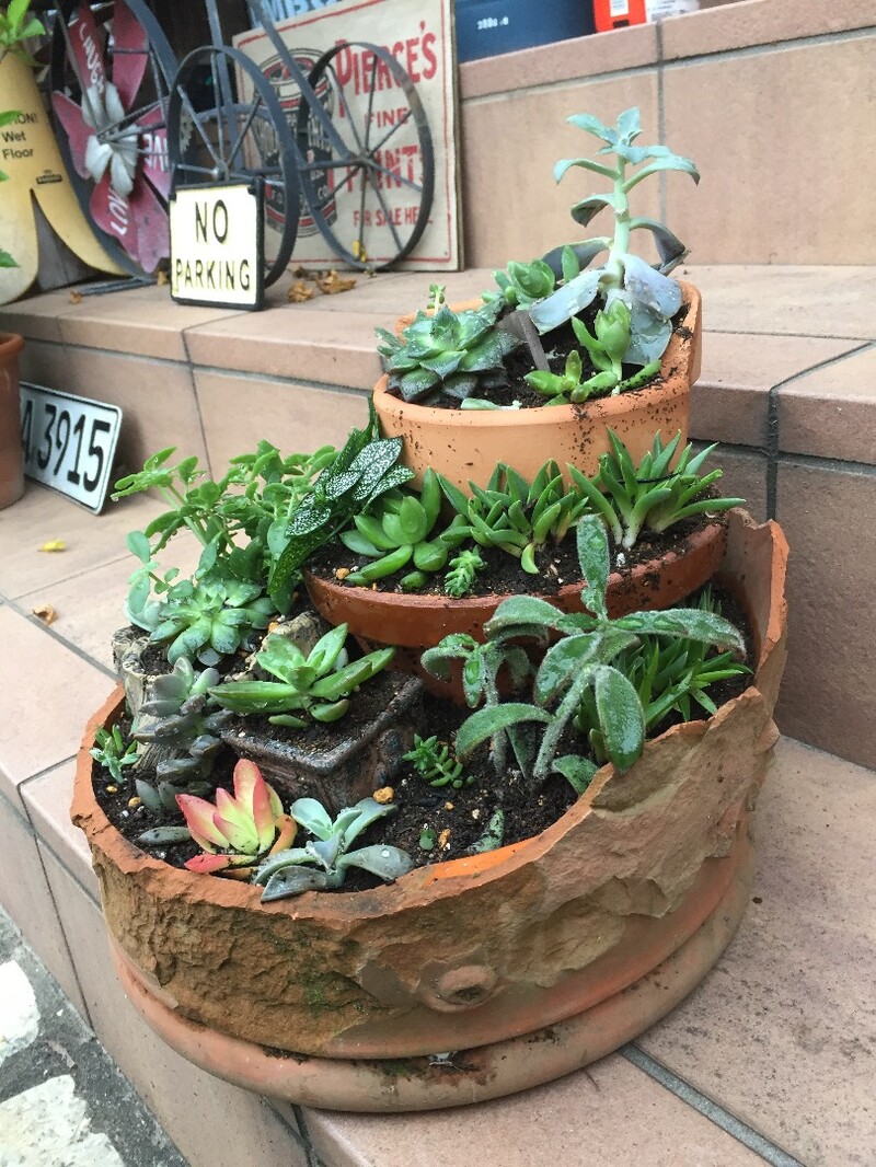 変わっ た 植木鉢