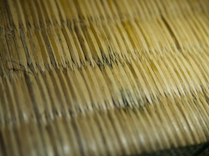 畳のカビ取り掃除 予防術 ひどいカビの除去にエタノール 酢 重曹などが活躍 Limia リミア