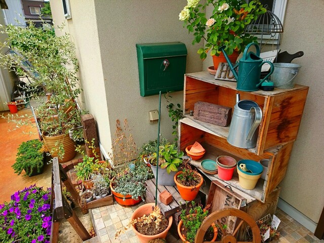 おうち時間を楽しもう 家庭菜園 ガーデニングにもってこいの アースガーデン ロハピ を使ってみました Limia リミア