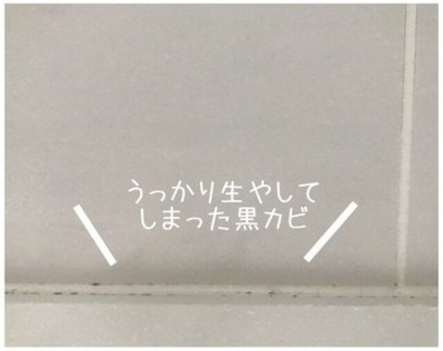 水だけでカビがとれるワイパーに驚き！大掃除はもういらいない!?｜LIMIA (リミア)